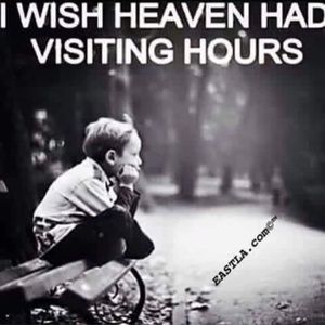 Meet your Posher, Gregory